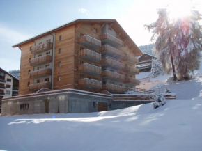 Cosy apartment near ski slope